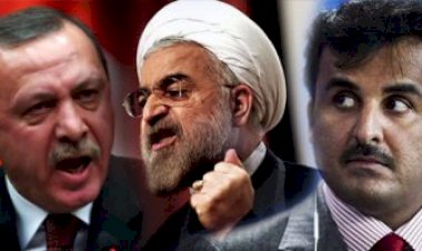 بمساندة قطرية... تركيا تقود حرباً شرسة للهجوم على الدول العربية