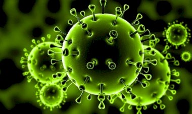 كيف تستغلّ جماعة الإخوان 