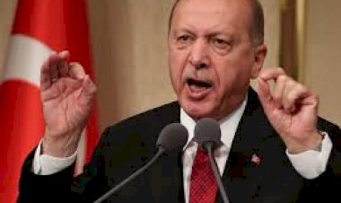 تَقْرِير سويديّ يكشف كَيْف فتح أردوغان الإعلام أمام المتطرفين