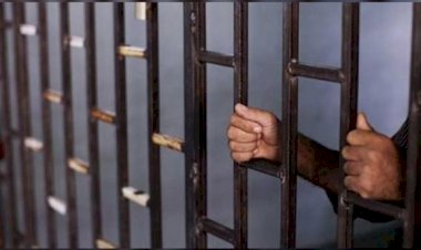 هيومن رايتس واتش تُحذّر من الموت الجماعي في السجون التركية نتيجة انتشار كورونا