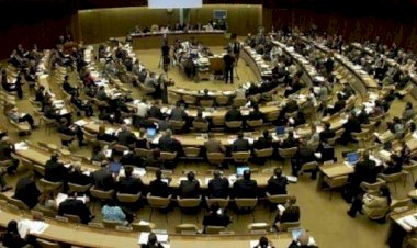 واشنطن إجزامنير تكشف أسباب صمت مجلس حقوق الإنسان أمام الانتهاكات القطرية