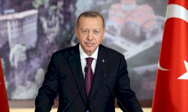 لماذا تمثل مصر والإمارات مصدر رعب لـ