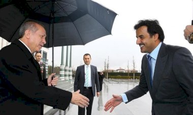 هندوستان تايمز: 