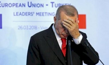 يعتبرها خطرًا على مخططاته.. لماذا يهاجم أردوغان الإمارات؟