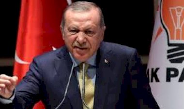 تقرير استخباراتي يكشف كيف أنقذ أردوغان خلية إرهابية من السجن