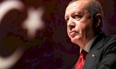 بعد تجنيسهم.. لاجئون سوريون يكشفون سرقة 