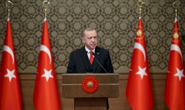 الشيخ تميم يُعين صهر أردوغان للعمل بالديوان الأميري القطري