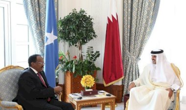 قطر تسيطر على التعليم في الصومال وتنشر تطرُّفها بين الأطفال