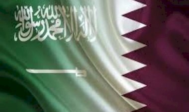 ذباب قطر يقود حملة ممنهجة للإساءة والهجوم على السعودية.. والمملكة تُسقِطه