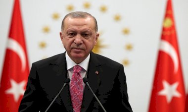 أردوغان يستغل الإنتربول للانتقام من معارضيه في الخارج وتلفيق التهم لهم
