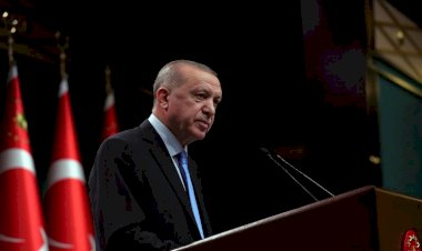 كيف سيطر أردوغان على أكبر الجامعات التركية وعين لصاً رئيساً لها