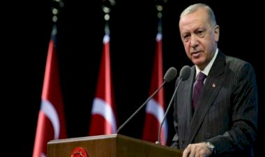 تركيا دولة عصابات في عهد أردوغان .. صعود قوي للمافيا