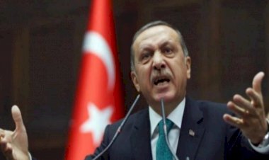 أطماع أردوغان في موريتانيا.. نهب الثروة السمكية