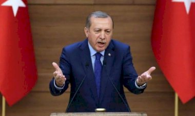 أردوغان ينشر الفساد.. والشفافية الدولية: سجل سيئ لتركيا