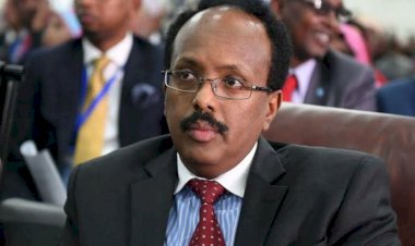 فرماجو وأميركا: الديكتاتور الصومالي بين غضب البيت الأبيض  وجنسيته الأميركية!