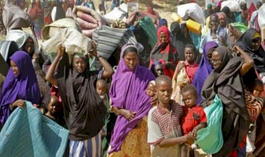 سبوتنيك: الإمارات تدعم استقرار وسيادة الصومال