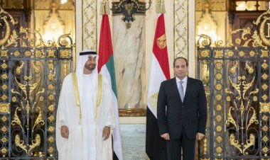 خبراء: الإمارات ومصر صنعتا مصيرا واحدا للتعاون المشترك بينهما