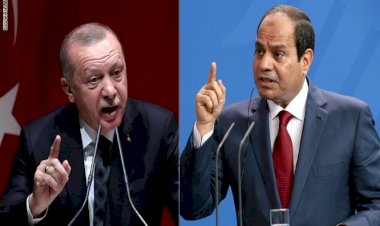 دور مصر الدولي الفعال يجبر أردوغان على التودد لإعادة العلاقات
