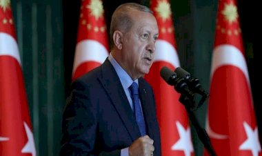 عائلة تانريفيردي و