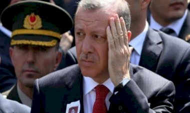 ارتفاع نسبة متعاطي المخدرات في فترة حكم حزب العدالة والتنمية