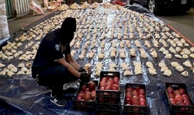 بسبب تهريب المخدرات.. السعودية تقرر منع دخول المنتجات الزراعية اللبنانية