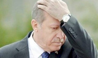 رئيس حزب الشباب التركي: أردوغان يحفظ مدخراته من الرشاوى في قطر!