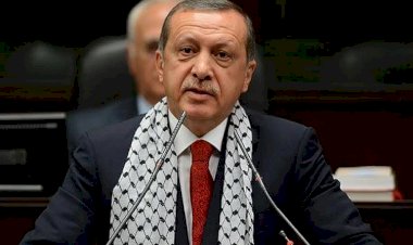 نورديك مونيتور: عزلة أردوغان تقلل من فرصه لاستغلال التصعيد الإسرائيلي في غزة