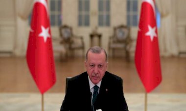 وثائق سرية تكشف إعادة أردوغان الجماعات الإرهابية التركية للحياة