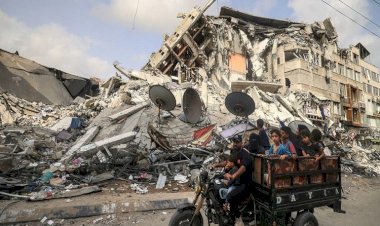 شهداء وخسائر كارثية.. كيف ورطت حماس الشعب الفلسطيني في أحداث غزة الأخيرة؟