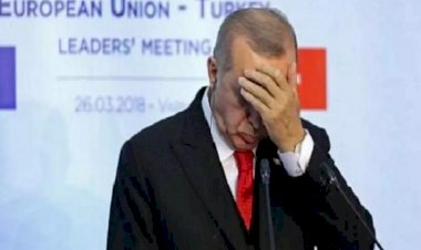 بلومبيرغ تكشف تورط تركيا بعملية خطف دولية لنجل شقيق غولن