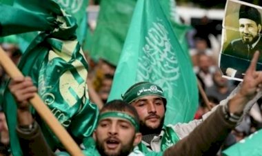 محمد الهاشمي الحامدي.. بوق تنظيم الإخوان لاستهداف العرب