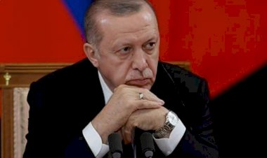 لماذا تتجه أطماع أردوغان إلى فزان؟