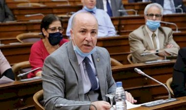 بعد قرار تعيينه... مَن هو أيمن عبدالرحمن رئيس وزراء الجزائر الجديد؟