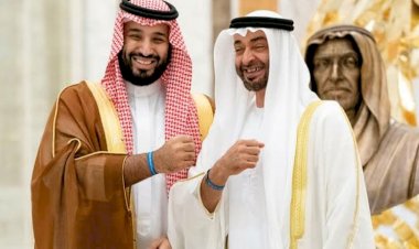 الطريق إلى القمة.. السعودية والإمارات رفقاء درب السلام