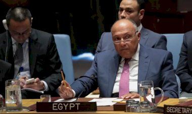 بعد جلسة سد النهضة.. كيف أصبح مجلس الأمن لا يناسب تطلعات المجتمع الدولي؟