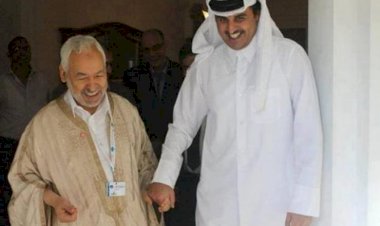 مكالمة تميم لقيس سعيد.. إغراء أم تهديد؟