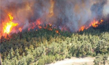 حرائق تركيا تكشف أكاذيب أردوغان وتجعله على المحك.. ثمانية قتلى وإجلاء السياح