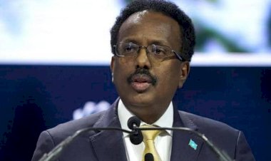 فرماجو يقود انقلابا ناعما على الحكومة.. إلى أين تتجه الصومال؟