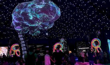 إكسبو دبي 2020.. قصة نجاح جديدة للإمارات وسط إشادات عربية وعالمية