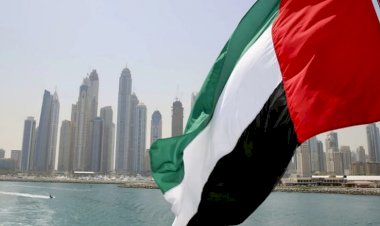 بعد مسيرة ناجحة وجهود كبرى.. الإمارات تفوز بعضوية مجلس حقوق الإنسان