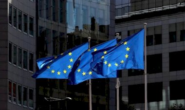 تحرُّكات أوروبية جماعية ضدّ إرهاب الإخوان..31 نائبًا أوروبيًا يلاحقون ذيول الجماعة