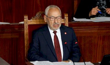 محللة تونسية تكشف جهود تونس الجديدة للقضاء على فساد الإخوان