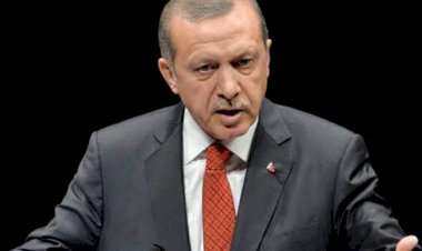 أردوغان يعيد مشروع الإخوان من جديد .. محللون يكشفون مخطط تركيا الخبيث