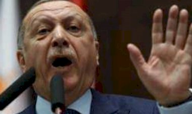 ليبيا ريفيو: بتنسيق قطري تركيا ترسل مرتزقتها إلى أفغانستان