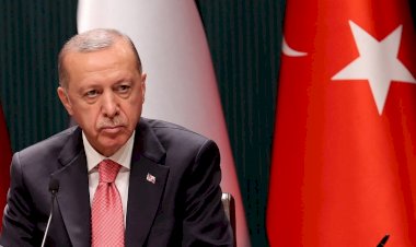 لماذا يشجع أردوغان الغزو الروسي لأوكرانيا؟