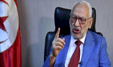 محللة سياسية تكشف سجل الإخوان الحافل بالجرائم في تونس