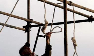 العفو الدولية تكشف إحصائيات مقلقة حول عمليات الإعدام في إيران.. تجاوزت نصف النسبة العالمية