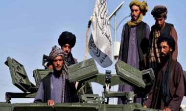 معلومات استخباراتية.. طالبان تمهد لعودة القاعدة لقمة التنظيمات المتطرفة