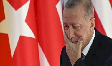 أطماع أردوغان.. ما سر الجهود التركية لإحلال السلام في أوكرانيا سريعًا؟