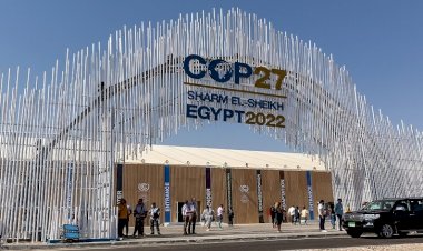 قمة COP 27.. لماذا ينتظر العالم مبادرات السعودية الخضراء؟